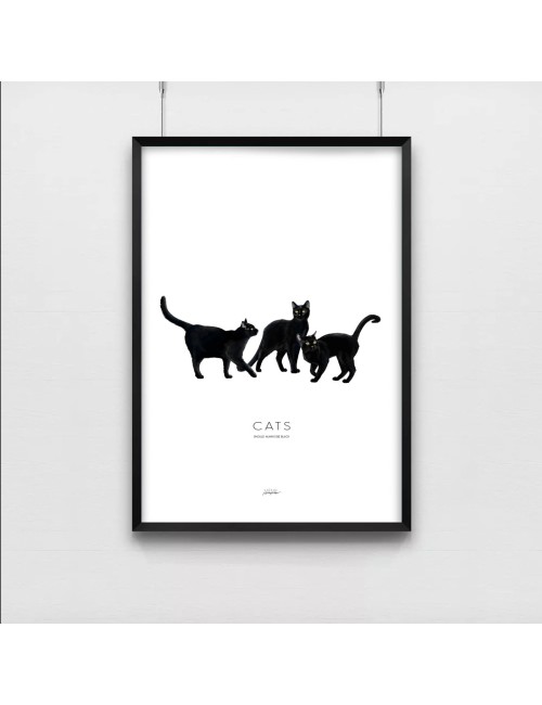 Affiche Cats